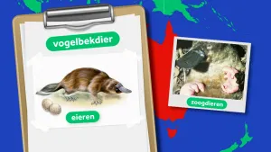 Een animatie voor een stukje landkaart met links een klembord waarop een tekening van een vogelbekdier geplakt is met de woorden "vogelbekdier" en "eieren".  Rechts is een foto van de kop van een vogelbekdier met jonkies te zien en het woord "zoogdier". 