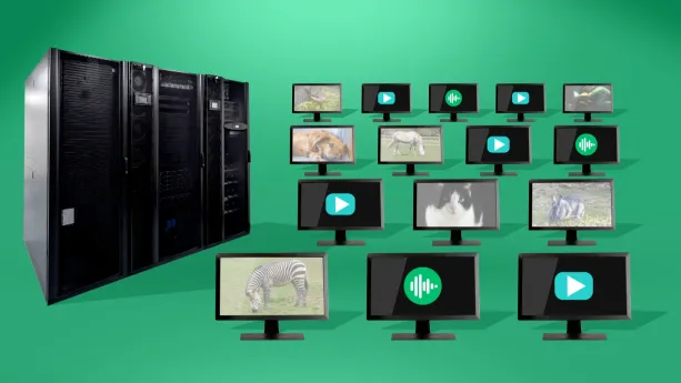 Een foto van een serverkast, een grote kast waar veel opslagruimte inzit die computers en mobiele apparaten kunnen gebruiken. Daarnaast staan vijftien beeldschermen. Zeven laten beelden van dieren zien, acht een symbool voor geluid of voor video.