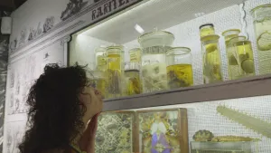 Een foto van een presentator die kijkt in een kast met allemaal doorzichtige potten met overleden dieren of lichaamsdelen erin, die niet goed te herkennen zijn. Er zit sterk water in de potten, dat is ethanol, oftewel alcohol om het te kunnen bewaren. 