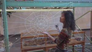 Een foto van een presentator die voor een groot voorbeeld van een spinnenweb staat dat aan stalen balken hangt. Het spinnenweb is gemaakt van wit touw. De presentator heeft een nepspin vast en een plakkerige nepdraad met bolletjes die een spin kan weven. 