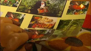 Een foto van Moffel die door een boekje bladert. Daarin staan allemaal foto's met tomaten erop. 