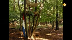 Een foto van een bos. Je ziet het nest van Arie. Hij zit op zijn nest. Op de voorgrond zie je de vlag van Nederland. 