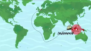 Een tekening van een wereldkaart met daarop een boot die dicht bij Indonesië ligt. Indonesië is met de landnaam en een rode stip op de kaart aangegeven. Achter de boot loopt een zwarte lijn die de weg die de boot heeft afgelegd vanaf Nederland weergeeft.