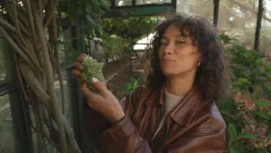 Een foto van presentator Serah, die in een broeikas staat. Dat is een glazen huis voor planten. Ze heeft een tros druiven in haar hand. Naast haar groeien een paar dikke stengels langs de muur omhoog.
