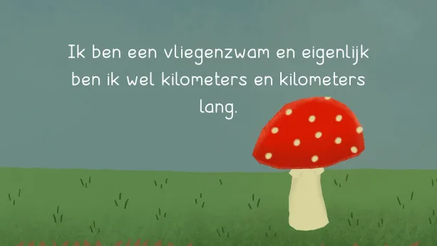 Een ondergronds web van schimmeldraden