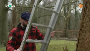 Een foto van boswachter Tim met een ladder in zijn handen. Hij zet de ladder tegen een boom. Achter hem zijn een stuk gras en andere bomen te zien. De bomen zijn kaal.