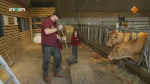Een foto van boswachter Tim die samen met twee kinderen in een stal staat. Hij is met een schep bezig met een hooibaal die op de grond ligt. Er kijken twee koeien naar de hooibaal.