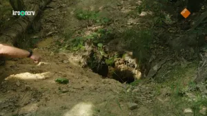 Een foto van een stuk grond met daarin een gat met twee tunnels. De grond is kaal, met een beetje gras. Links in de foto is een arm te zien van iemand die naar het gat wijst. 