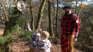 Een foto van boswachter Tim en twee kinderen in een bos in de herfst. Ze kijken naar een voorwerp dat in de boom hangt. Het is een houten schijf, zo groot als een klok, met een tekening van een lamp erop.