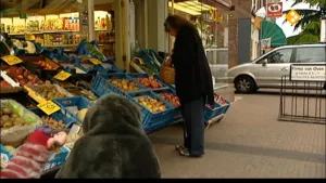 Appeltje voor de slaap