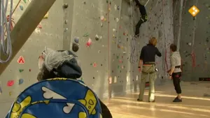 Door de wand gevallen