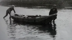 Oude foto, zwart/wit, van roeiboot op laag water in de Biesbosch die wordt voortbewogen door twee mannen die in het water lopen.