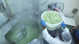 Een foto van twee mensen bij een grote metalen mengbak. In de bak liggen veel blokjes groente en er komt stoom vanaf. De twee mensen met haarnetjes op houden een grote bak vol groente omhoog om die erbij te doen.