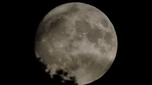 Een foto van de maan die in het donker genomen is. Linksonder is de schaduw van boombladeren zichtbaar.