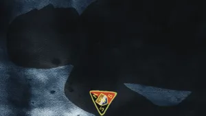 De aanslag van Harry Mulisch