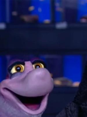 Programmaheader moffel en pier