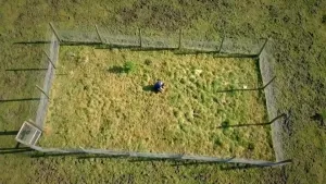 Een foto van een weiland. De foto is uit de lucht gemaakt en je kijkt naar beneden. Je ziet een rechthoekig stuk weiland met een hek eromheen. In het hek zit een deur. 