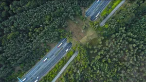 Een foto vanuit grote hoogte recht naar beneden gekeken. Je ziet een bos met daar doorheen een snelweg lopen. Over die snelweg ligt een brug waarover dieren veilig naar de andere kant kunnen lopen. 