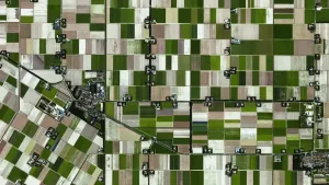 Een foto van een Nederlands landbouwgebied, vanuit de lucht gezien. Je ziet allerlei rechthoekige stukken grond met een bepaalde groene of bruine kleur. Ook zie je allerlei boerderijen en een paar wegen. 