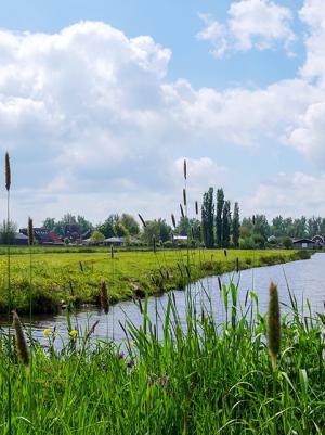 Nederlands polderlandschap