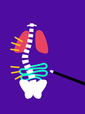 Header weet wat ik heb