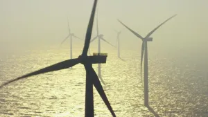 Een foto van vijf windmolens die in het water van de Noordzee staan. De windmolens hebben drie grote wieken. Op het water is te zien dat er licht op schijnt, maar de zon is niet in de lucht te zien en het is mistig op de foto.