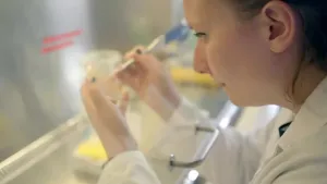 Een foto van een laboratoriummedewerker in een witte jas. De medewerker zuigt met een apparaat waar een dun buisje aan het uiteinde zit een deel van de vloeistof uit een rond bakje op. Tests met bacteriën, gisten en schimmels helpen om eten te maken.
