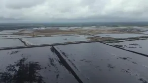 Een foto van grote, rechthoekige velden waar voorheen groene veengrond op lag. De velden zijn nu kaal en er ligt alleen aarde of zand en heel veel water op. De foto is vanuit de lucht genomen.