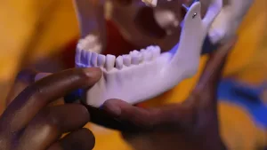 Een foto van twee handen die een voorbeeld van een menselijk gebit vasthouden. Op de foto is de onderkaak van het gebit zichtbaar. Eén van de handen wijst met één vinger naar de voortanden in de onderkaak.