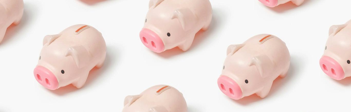 Spaarvarkens, photo by Insung Yoon on Unsplash