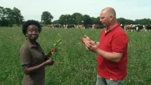 Een foto van twee mensen in een weiland, met op de achtergrond een kudde koeien. Een persoon heeft een plant in haar hand en kijkt naar de camera. De ander praat tegen haar.