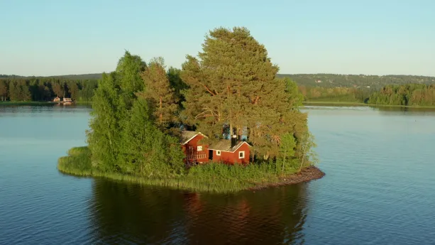 Een foto van een klein eiland in Zweden met bomen en in het midden een huis en een schuur. Op de achtergrond is het vaste land vol groene bomen en een enkel huis zichtbaar.