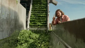 Een foto van een presentator die in de buitenlucht bij een fabriek naast een grote, stalen bak vol geoogste spinazie staat. De spinazie wordt door een machine omhoog getrokkken de fabriek in.