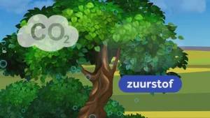 Een animatie van een boom met voor de boom een wolk met de tekst "CO 2" en het woord "zuurstof" in beeld. Ook zijn er doorzichtige cirkels met een blauwe rand zichbaar op en naast de boom.