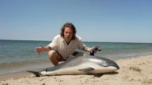 Een foto van Pascal die op het strand wat zit uit te leggen over de bruinvis die voor hem ligt. De bruinvis is een kleine grijze walvis.