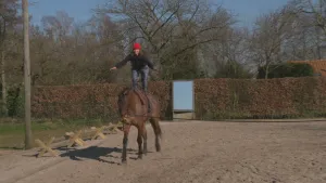 Een foto van een vrouw die bovenop een paard staat die door het zand loopt. 