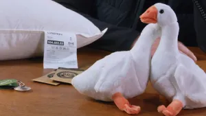 Een foto van twee ganzen knuffels die tegen elkaar aan staan. Daarnaast liggen wat kaartjes en een kussen met een kaartje eraan vast.