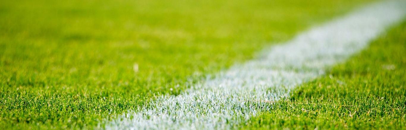 Voetbalgras, photo by Sandra Schuh on Unsplash