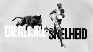 Een foto van een zwarte panter en de zwarte sprinter Usain Bolt. Hier overheen staat de tekst "Dierlijke snelheid".