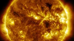 Een foto van de zon van dichtbij genomen in een druk seizoen waarin veel activiteit op de zon zichtbaar is. Zo zijn naast lichtere delen donkere zonnevlekken te zien op de foto, die de kans op het ontstaan van een zonnestorm groter maken.