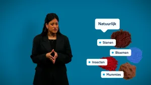 Een foto van een presentator met daarnaast vier foto's van natuurlijke materialen die worden gebruikt voor verf met daarboven een tekstballon met de tekst "Natuurlijk". De vier voorbeelden zijn: "Stenen", "Bloemen", "Insecten" en "Mummies".