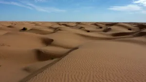 Een foto van de grootste woestijn op aarde, de Sahara. De foto is genomen overdag en behalve een enkele struik zijn er alleen heuvels van zand zichtbaar.