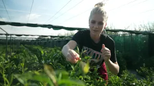 Een foto van presentator Janouk die in een van boven open kas met theeplanten staat. Janouk pak met haar rechterhand een theeplant vast.
