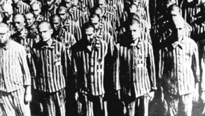 Een zwart-witfoto van kaalgeschoren mannen in gestreepte gevangeniskleding. De mannen staan netjes in rijen.