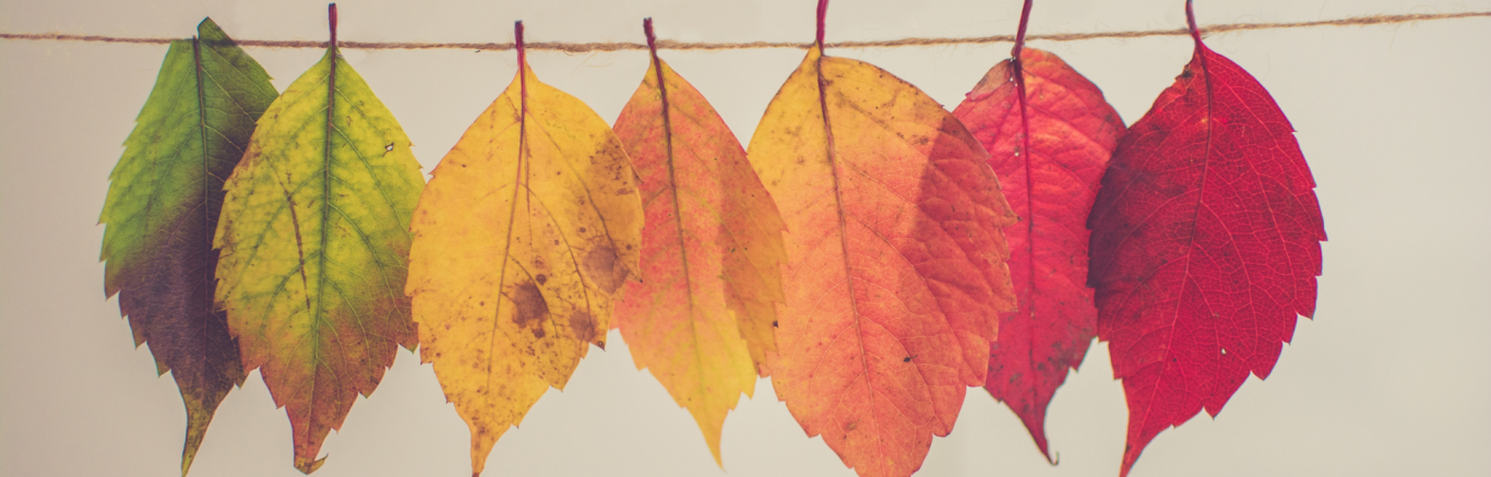kleurige herfstbladeren aan een lijntje