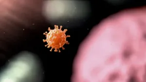 Een animatie van een virus, een oranje bol met uitsteeksels, die tumor aanvalt, een vage roze bol op de achtergrond.