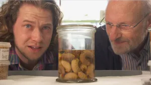Een foto van presentator Pascal die samen met een man vlak met hun gezicht achter een pot zitten. De pot is gevuld met water en insecten larven.