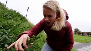 Een foto van presentator Janouk die in een berm staat en een plantje van de plantensoort brandnetel vastheeft.