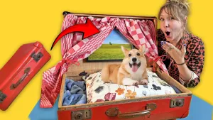 Een foto van een hond die zit op een kussen in een koffer, met presentator Rosalie die enthousiast ernaar kijkt.