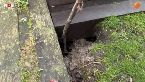 Foto van een gat in de grond waar in stok in wordt gestoken.